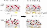 현미경 신약물질 1차 선별…60만→3천원으로 낮췄다