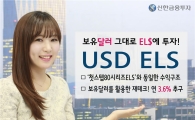 신한금융투자, 연 3.6%수익추구 미국 달러 ELS 공모 