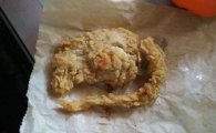 美 KFC 치킨서 발견된 '쥐 튀김'…그 진실은?