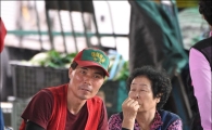 가을배추 면적 8년만에 최소…배추 값 오름세 전환(종합)