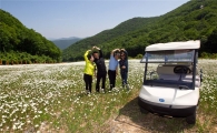 해발 1340m 꽃천지, 향기로운 강원랜드