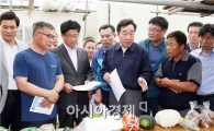 이낙연 전남도지사, 농산물 직거래 성공 영농현장 살펴