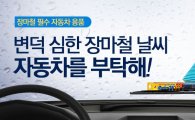 쿠팡 "장마철 필수 자동차용품 추천"