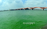 [포토]한강은 '녹조 경보'