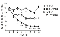 전침(電鍼)…항암제 부작용 완화시킨다