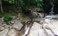 [르포]'풍경'과 '기가'의 향연…청학동 100배 즐기기