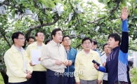 [포토]이낙연 전남도지사, 배 낙과 피해농가 방문