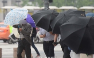 [포토]바람아 멈추어다오 