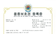 풀무원, 김 신품종 '풀무해심' 품종보호권 획득