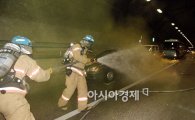 세월호 학습효과..작년 '안전' 공익신고 133% 급증 	