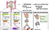 대장암 치료 새로운 길 열릴까