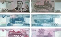 [쩐 이야기]해외서 손에 쥔 '북한 돈'…반입은 '금지'