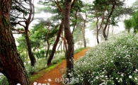 곡성군, 산림행정 종합평가 우수시군 선정