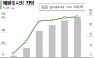 韓·美·中 '얼큰이폰'…북미서 붙는다
