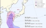 12호 태풍 할롤라, 한반도 쪽으로 급선회···피해 우려