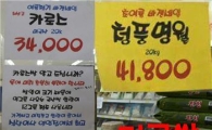 밥쌀용 쌀 수입과 관세율 협상…저울질하는 정부