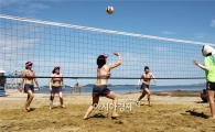 함평군,8월1일 함평천지한우배 전국 비치발리볼대회 개최