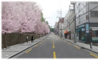 성동구, 사근고개 걷고 싶은 거리 조성