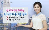 신한금융투자, 연 5.3% 수익추구 ELS·ELB 등 총 9종 공모