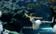 [포토]'한화 아쿠아플라넷 일산, 해양의 서커스'