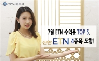 신한 인버스 WTI 원유선물 ETN(H) 한달 수익률 20%