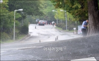[포토]도로위 열기 식히는 반가운 소나기