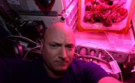 [과학을 읽다]우주에서 식물 키운다
