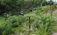 [DMZ 지뢰 도발]北 목함지뢰는 또 다른 비대칭전력