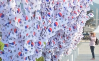 [포토]태극기 나무? 신기하네
