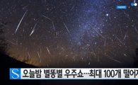 14일 자정 '별똥별 우주쇼' 최대 100개 이상 떨어져···명당 자리는?