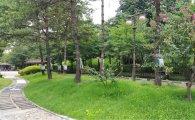 양천구 신월동 장수공원 대형수목 물주머니 설치