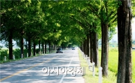 곡성군, 군민과 함께 가꾸는 ‘숲속의 전남 만들기’  앞장