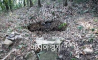 ‘완도수목원 가시나무 숯 가마터’ 국가가 보존한다