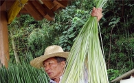 [포토]왕골돗자리 만들기에 분주한 함평 주민들