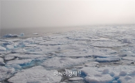 [북극을 읽다]8월의 화이트...해빙 뚫고 나아가다
