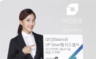 대신證, ‘Up Down’ ELS 출시