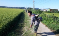 무안군 “제초제 없는 마을 조성사업, 효과 크다”