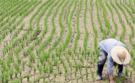 [가뭄비상]텅텅 빈 물그릇…중부지방 최악의 '가뭄'