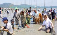  ‘장흥 개막이 체험’ 12일 개최