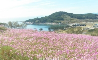 전남도, 가을 여행하기 좋은 섬 전국 최다