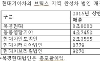 부메랑이 된 현대기아차의 브릭스 투자