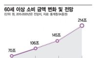 '58년 개띠' 은퇴 지도…실버산업이 벌떡 일어선다