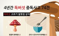 [인포그래픽] '독버섯 고르기' 잘못된 상식 6가지