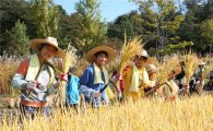 강동구 어린농부들의 풍성한 수확