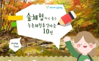 숲체험 즐기기 좋은 농촌휴양마을 10선