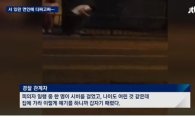 '부평 묻지마 폭행' 경찰 측 반응에…네티즌 공분 
