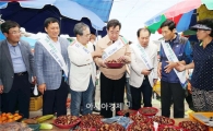 이낙연 전남도지사, 전통시장서 추석 물가 살펴