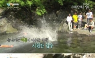 '1박 2일' 추성훈·김동현, 멤버들과 함께 찬 물 입수…'의리의 격투남들'