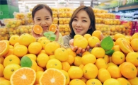 [포토]이마트 "제철맞은 햇감귤 맛보세요"