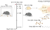 기억상실 등 뇌질환 치료 연구 토대 마련됐다 
